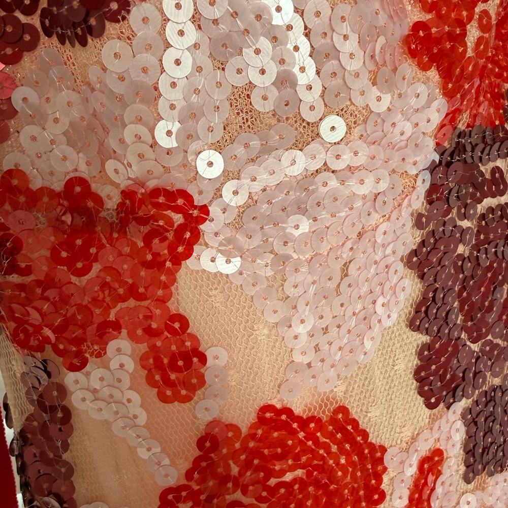 Silvia Tcherassi Sequin Gown - Picture 7 of 9